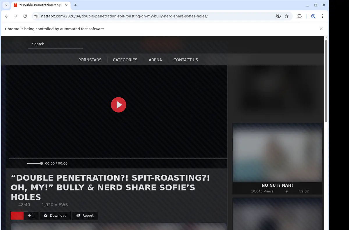Netfapx Video Downloader browser extension screenshot 2