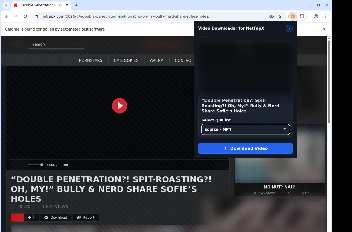 Netfapx Video Downloader browser extension screenshot 3
