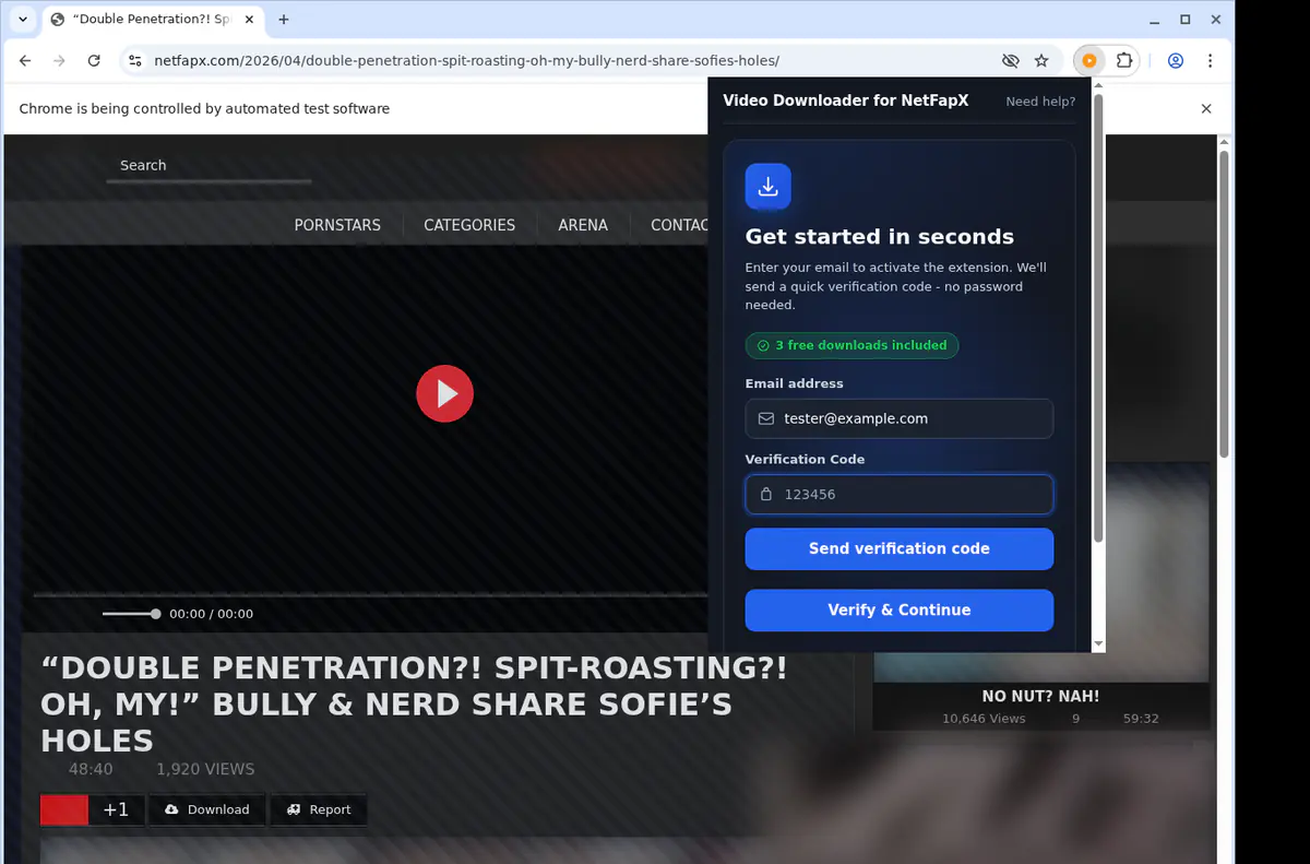 Netfapx Video Downloader browser extension screenshot 4