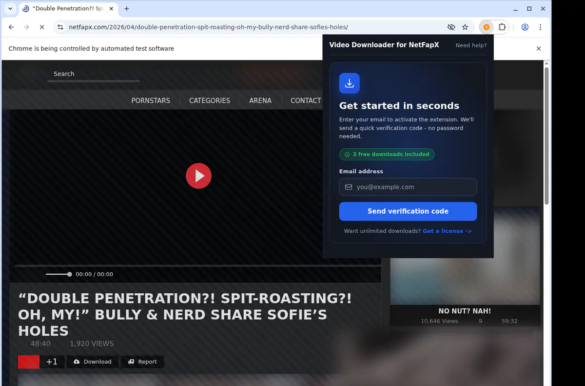Netfapx Video Downloader browser extension screenshot 5